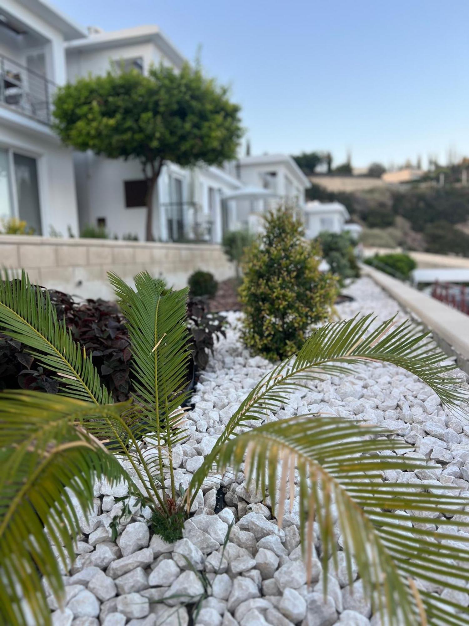 Pissouri Image Apartment Bagian luar foto