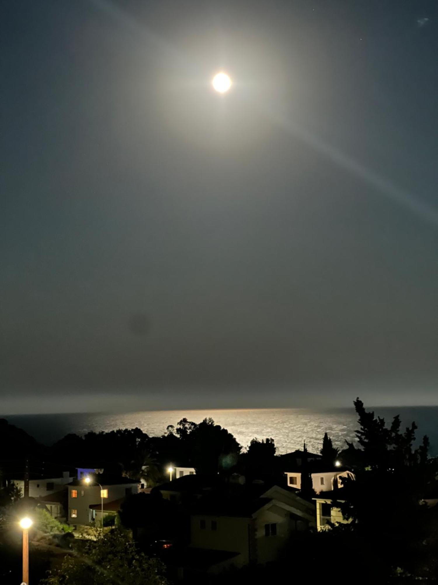 Pissouri Image Apartment Bagian luar foto